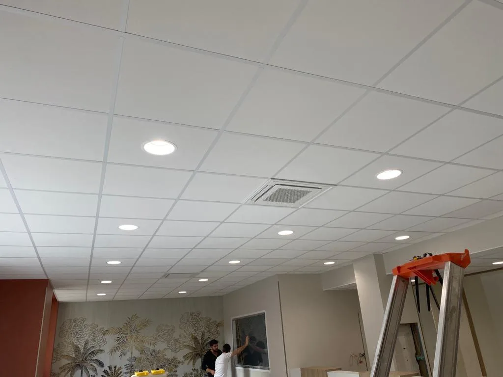 Plâtrerie & Placo — réalisation VAT BÂTIMENT